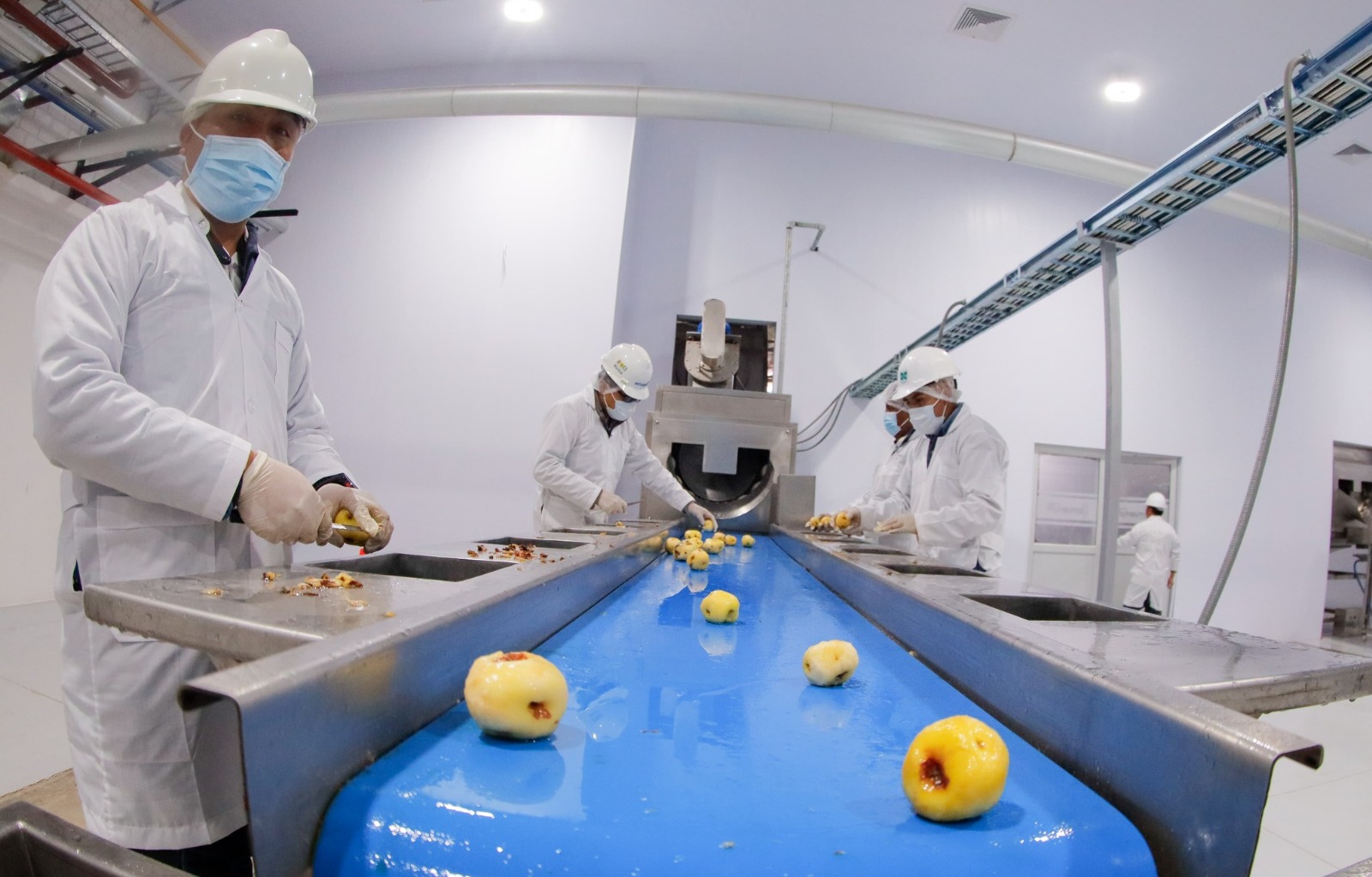 Industria estatal de papa en El Alto procesará 374 toneladas de materia prima e incrementa su capacidad de producción