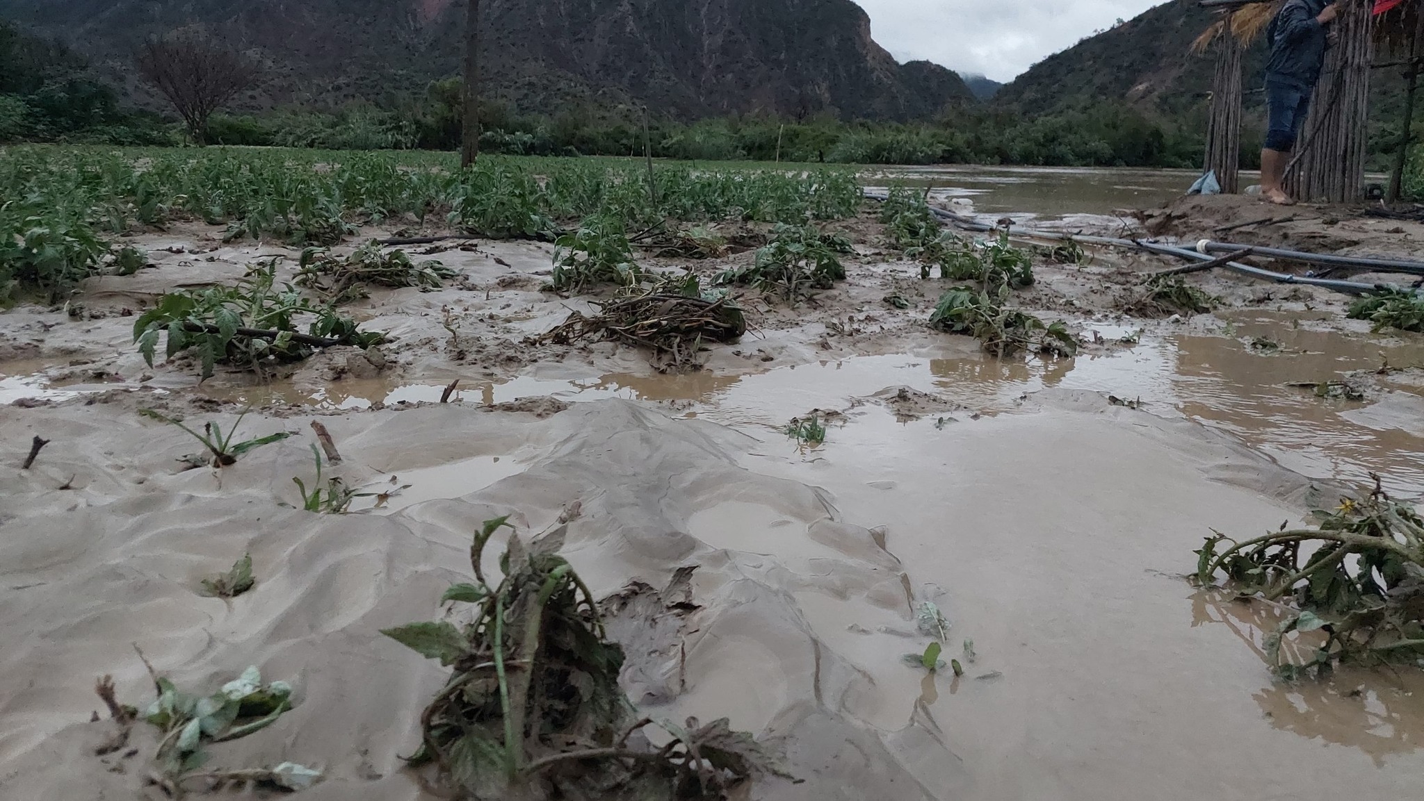 Reportan que el 95% de Omereque está bajo el agua, desplazan maquinaria para encauzar río Mizque