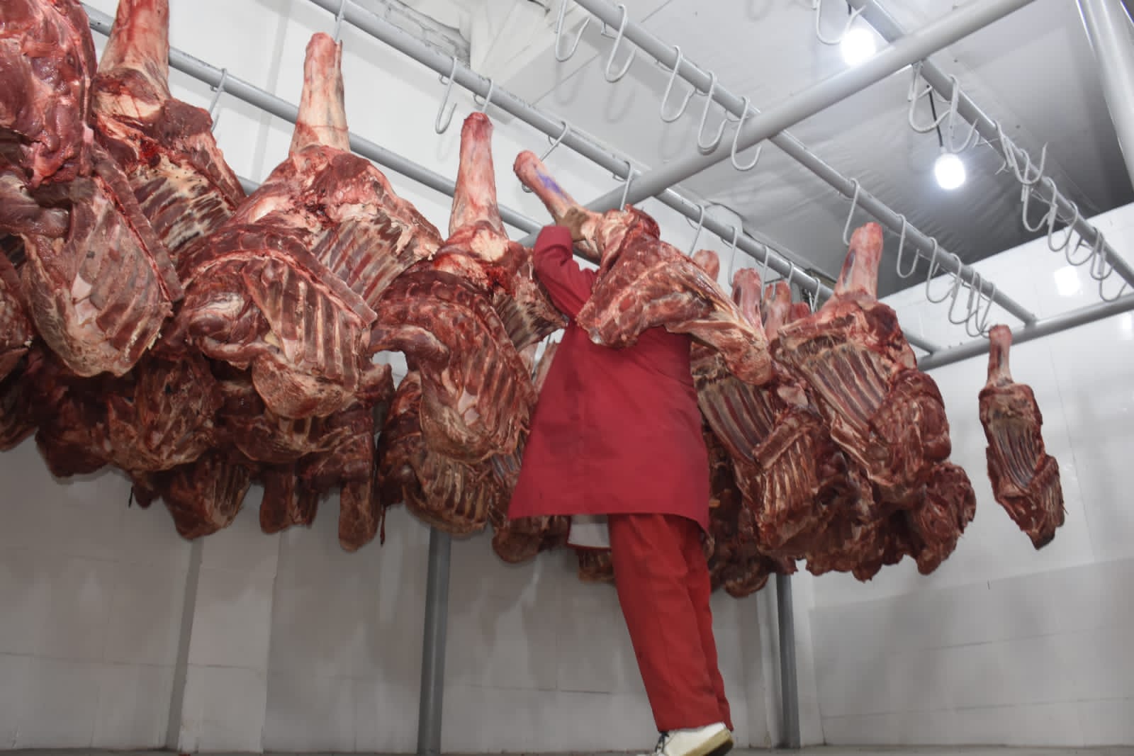 Gobierno asegura que no se destinará carne a la exportación mientras precios no se regulen
