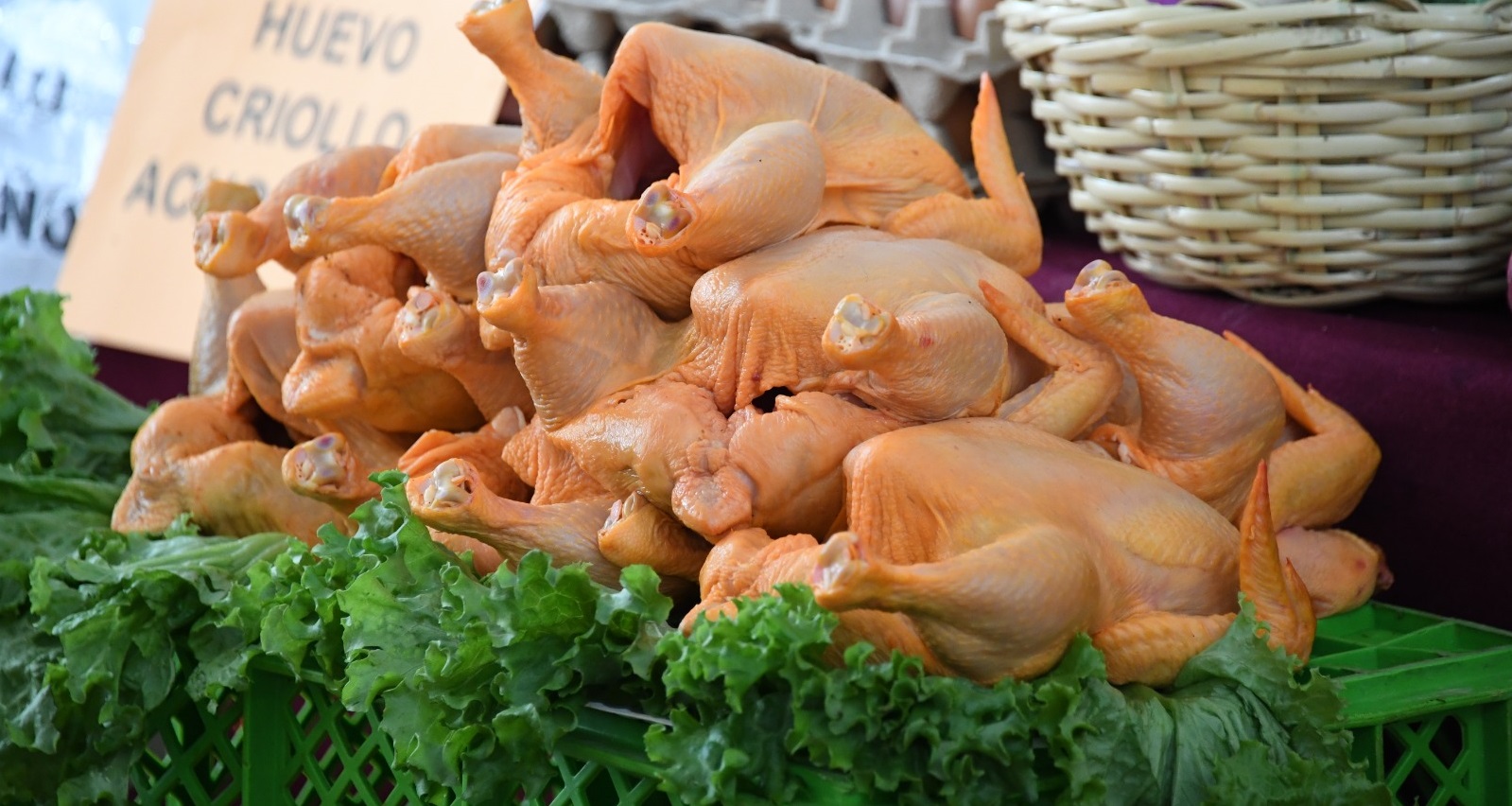 Gobierno gestiona exportación de subproductos bovinos, fibra de algodón y carnes de pollo y cerdo a China