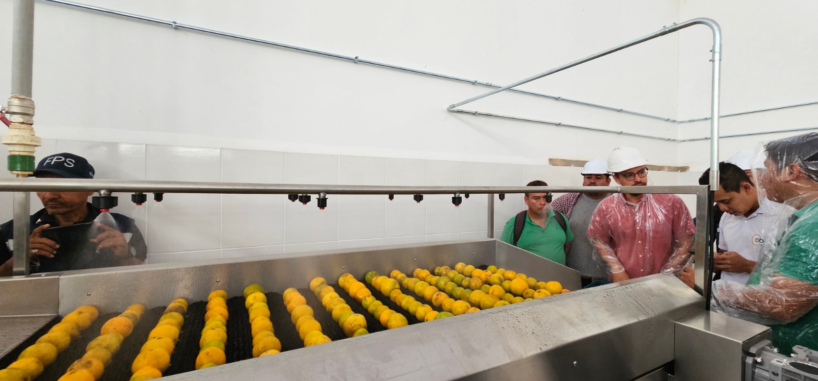 Industria de frutos amazónicos de Pando arranca producción de jugos para escolares 