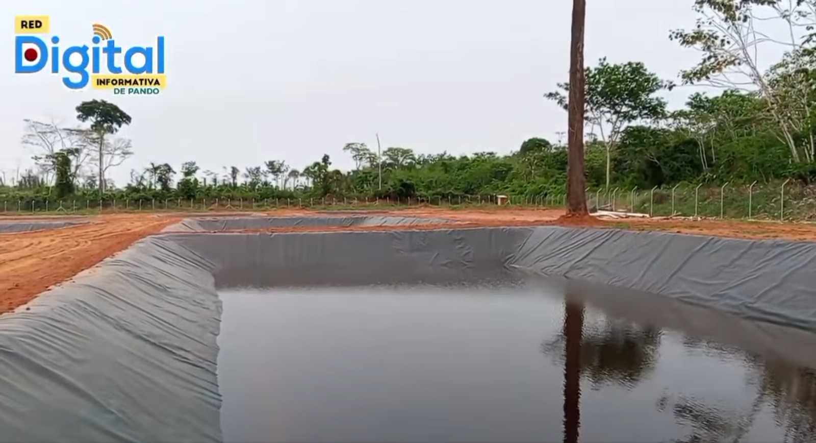 Estanques del Centro de Reproducción y Comercialización de Alevines, Pando. Captura: Red Digital Informativa de Pando