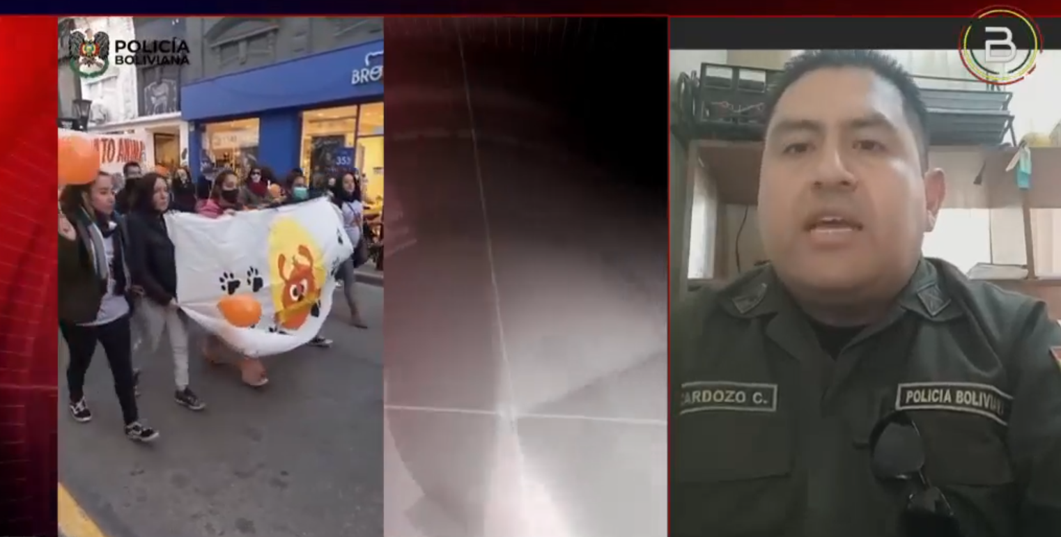 Convocan a la gran caminata contra el maltrato animal en Sucre