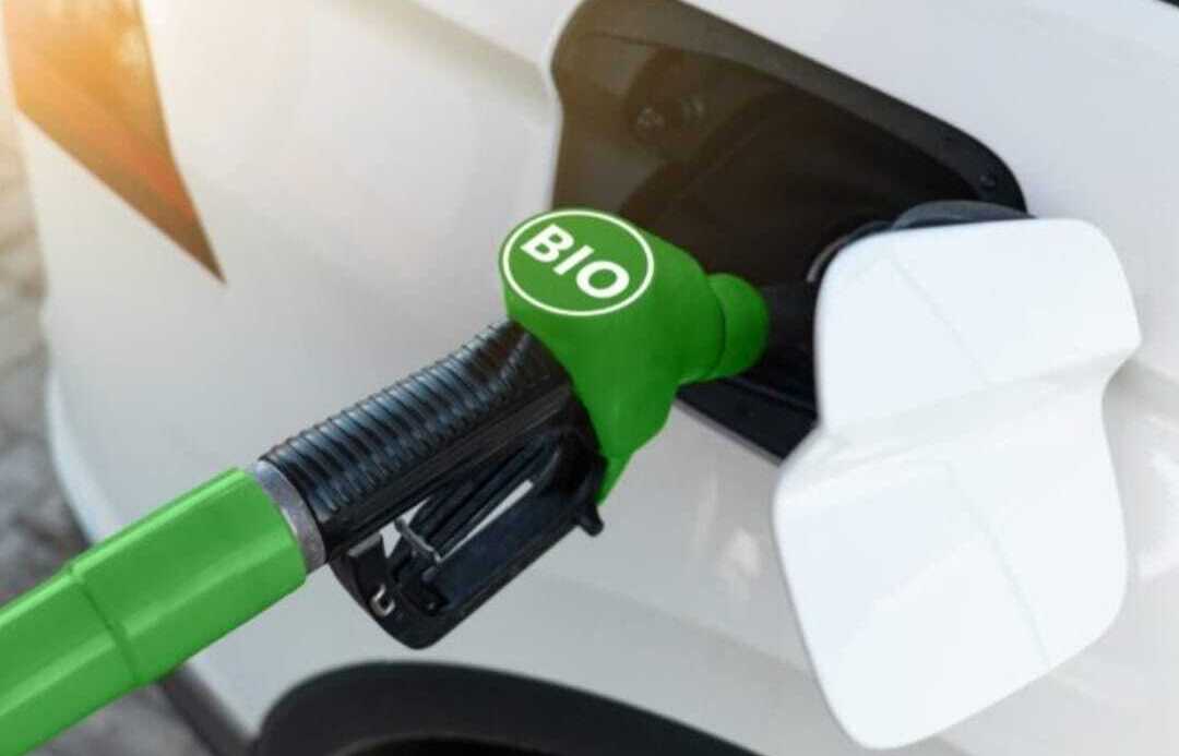 Rusia destaca sustitución de importaciones para resolver la “crisis de combustible”