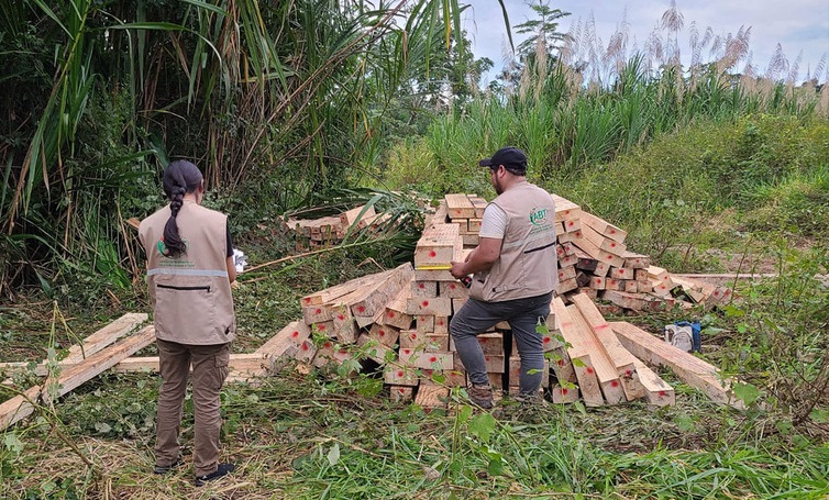 Decomisan más de 15.000 pies tablares de madera a 500 metros de la frontera con Perú