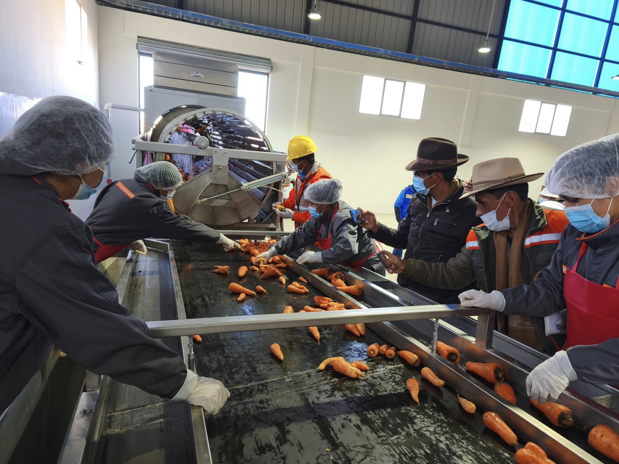 Construcción de la Planta Procesadora e Industrializadora de Zanahoria registra 90% de avance