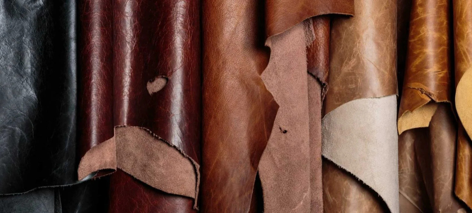 Bolivia se prepara para exportar cuero bovino a China