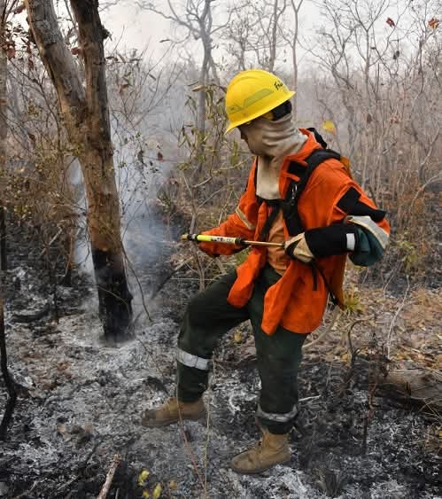 Bolivia reporta seis incendios activos