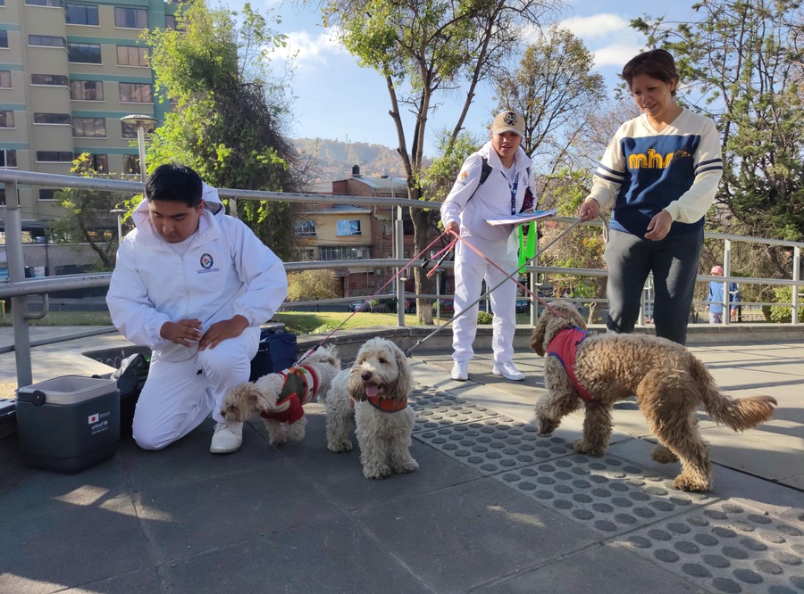Salud anuncia campaña nacional de vacunación contra la rabia para el 29 y 30 de noviembre con 3,4 millones de dosis