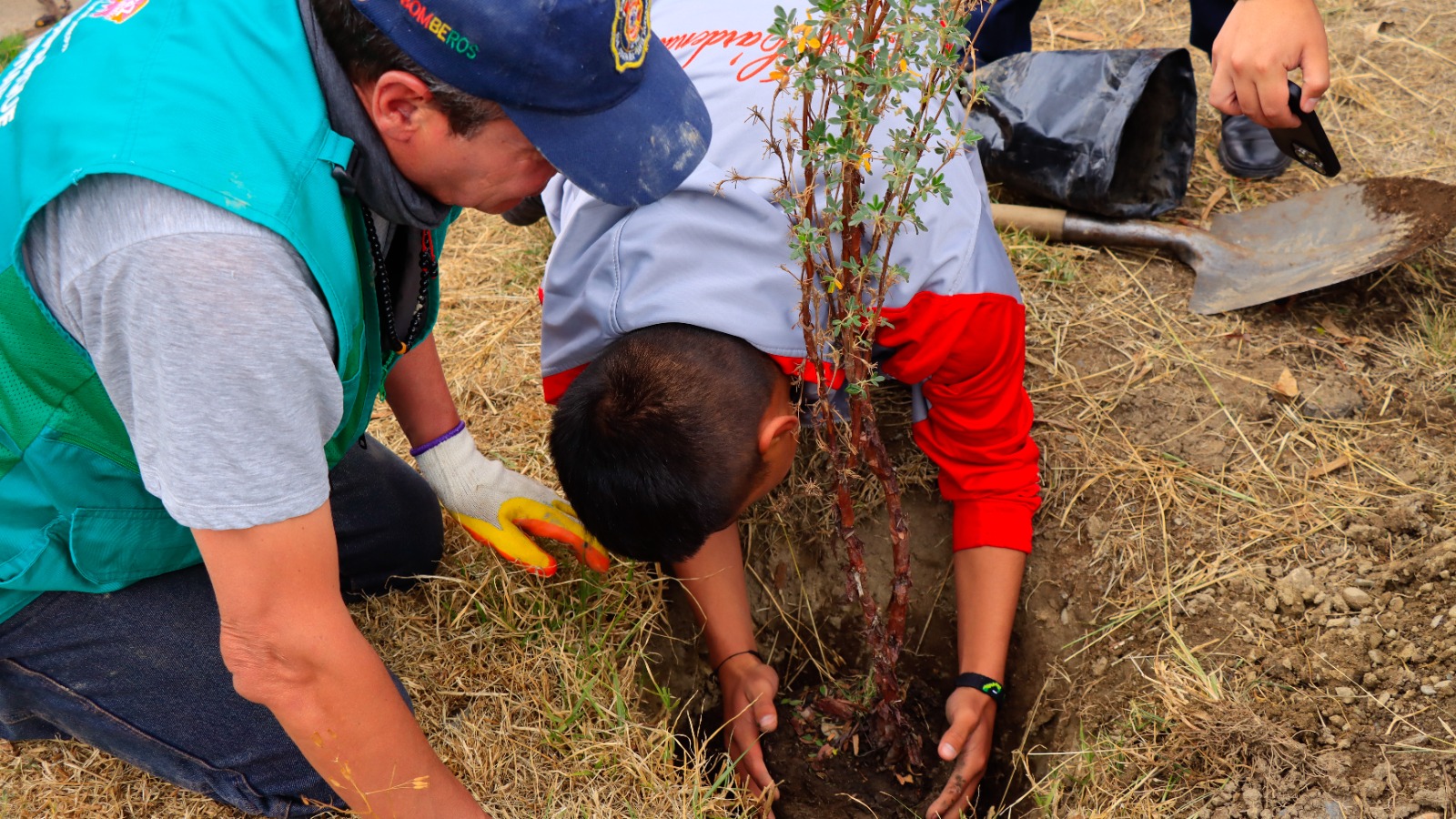 Estudiantes paceños siembran vida en el Día del Árbol