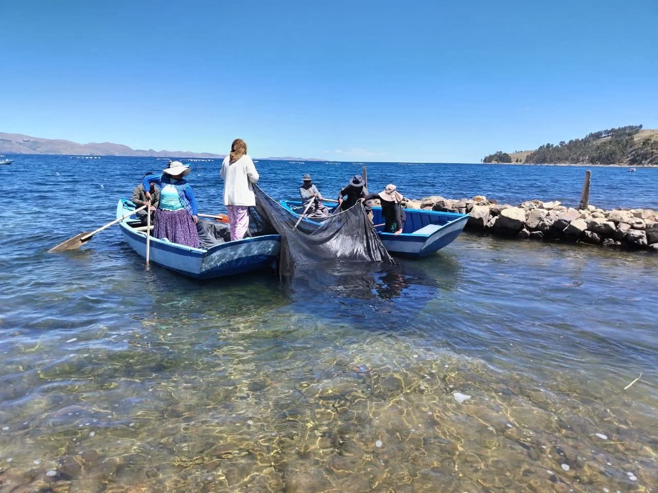 Desarrollo Rural siembra más de 3.000 alevines de trucha para fortalecer la producción piscícola en Santiago de Huata