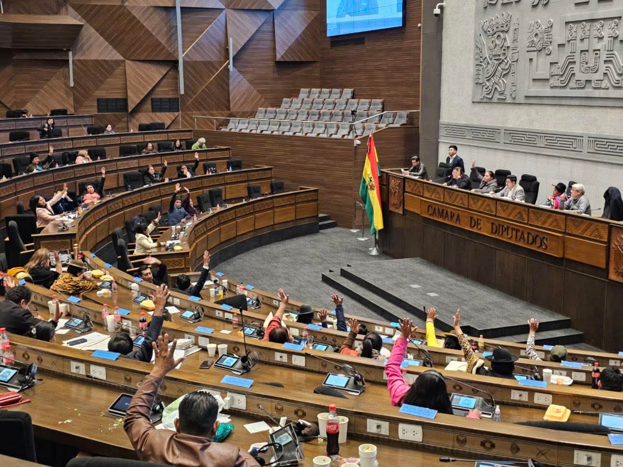 Gobierno advierte que el daño ya fue hecho por el freno del Legislativo a 19 créditos por más de $us 1.667 millones ‎