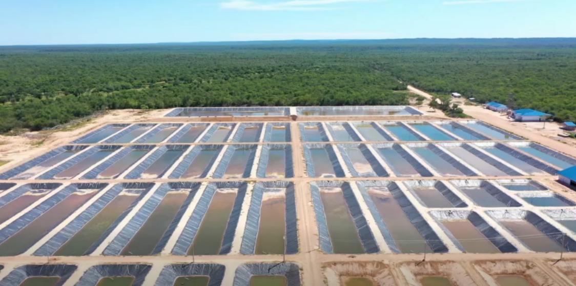 Construcción de plantas piscícolas en el Titicaca, Chaco y Amazonia impulsan la seguridad alimentaria con inversión de Bs 261 millones 