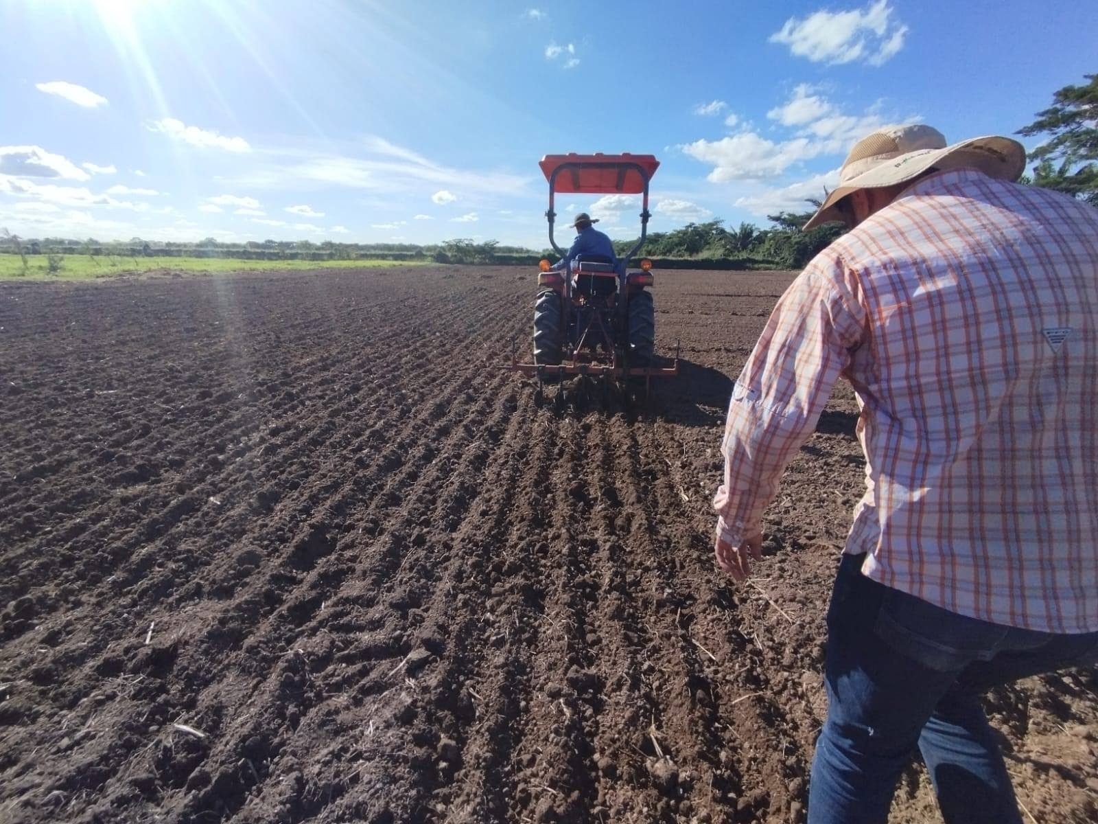 Gobierno garantiza diésel al agro y la preparación de suelos alcanza el 50% en el occidente y 20% en el oriente
