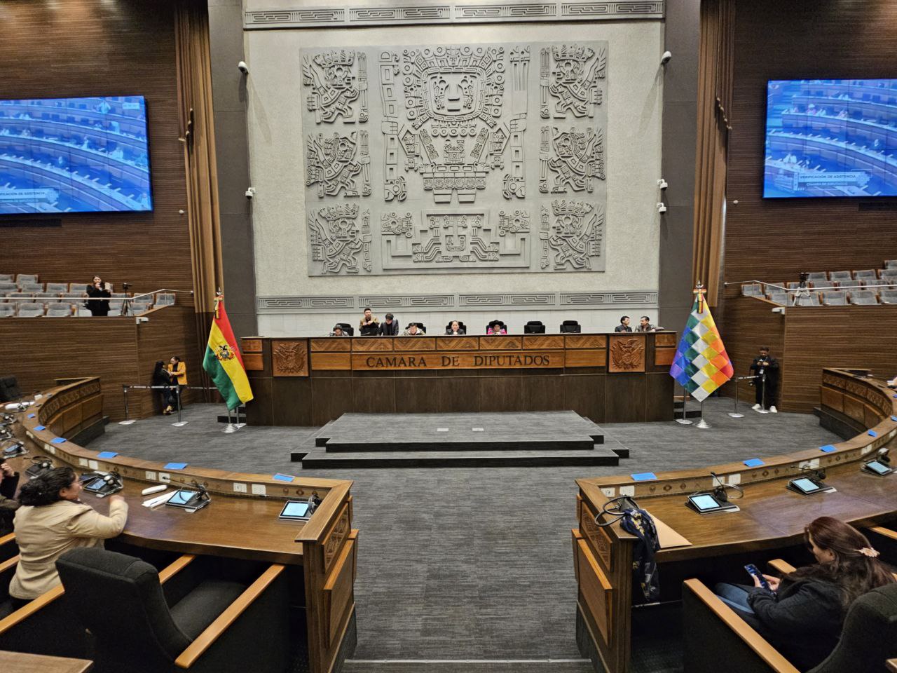 Diputados sanciona ley que regula el ejercicio del trabajo social en Bolivia