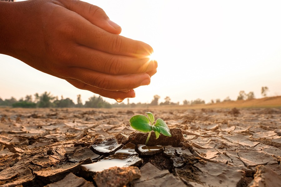 Banco de Desarrollo ofrece servicios financieros que alientan la lucha contra el cambio climático