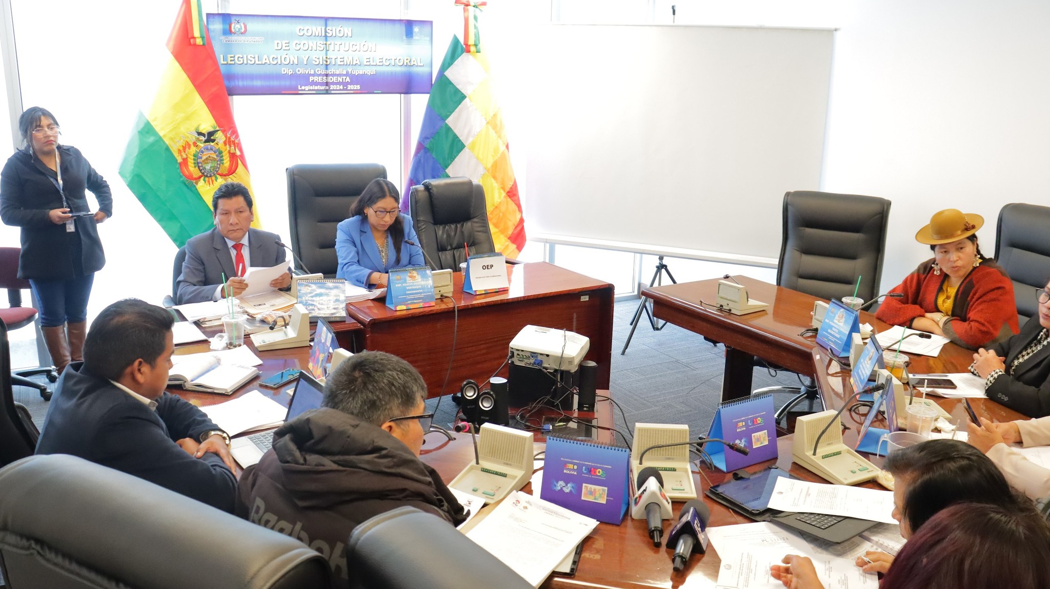 Comisión de Diputados aprueba reglamento para seleccionar y designar vocales electorales departamentales