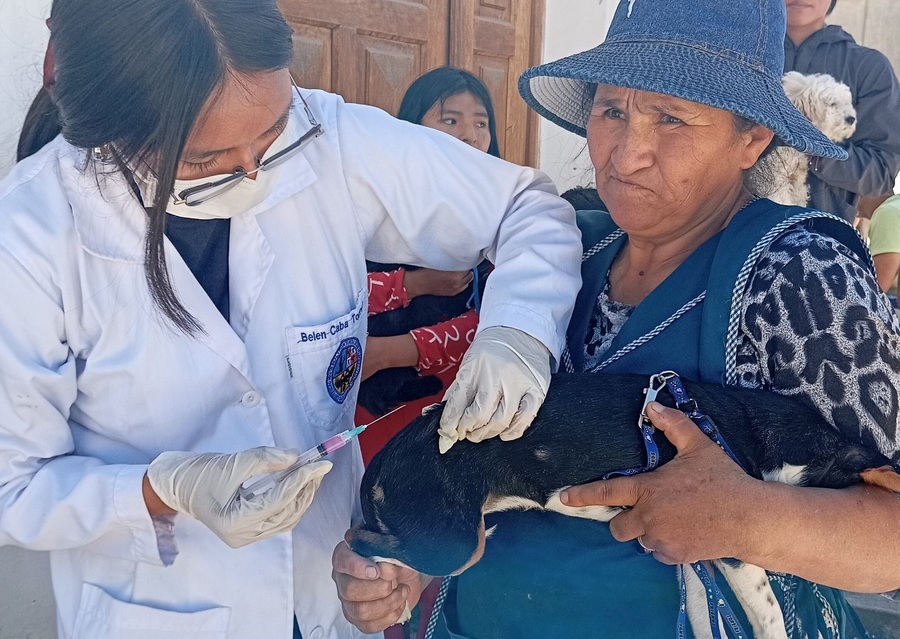 Vacunación masiva en Sucre alcanza 86% de cobertura contra la rabia en perros y gatos