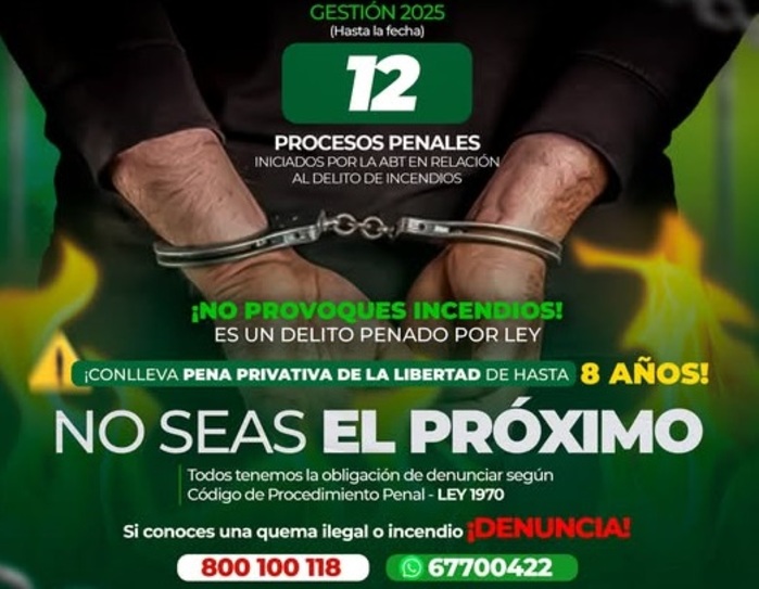 ABT activa 65 procesos administrativos y 12 penales por incendios forestales