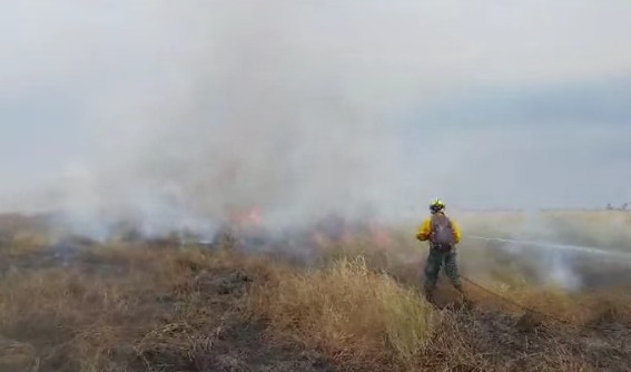 Bolivia registra reducción de focos de calor y mantiene bajo control "fuegos activos"