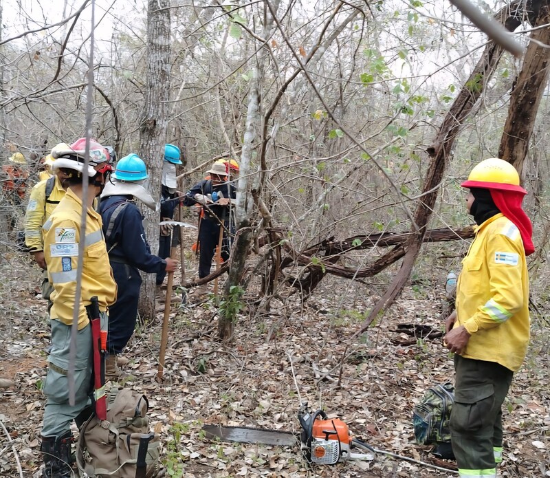 Gobierno confirma la mitigación total del incendio en el área protegida Ñembi Guasu de Charagua Iyambae