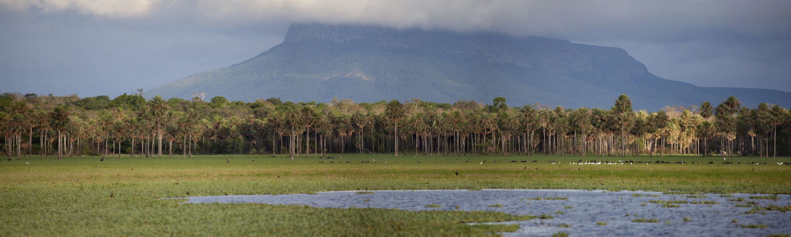 Presidente destaca la riqueza natural y cultural del Chaco boliviano como destino turístico