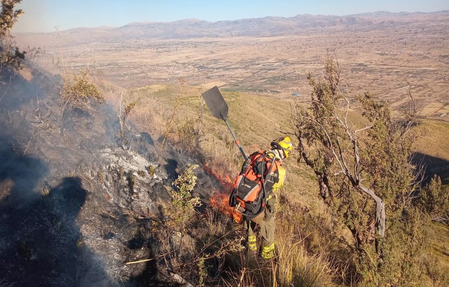 Incendio forestal afecta a más de 300 hectáreas en Tolata