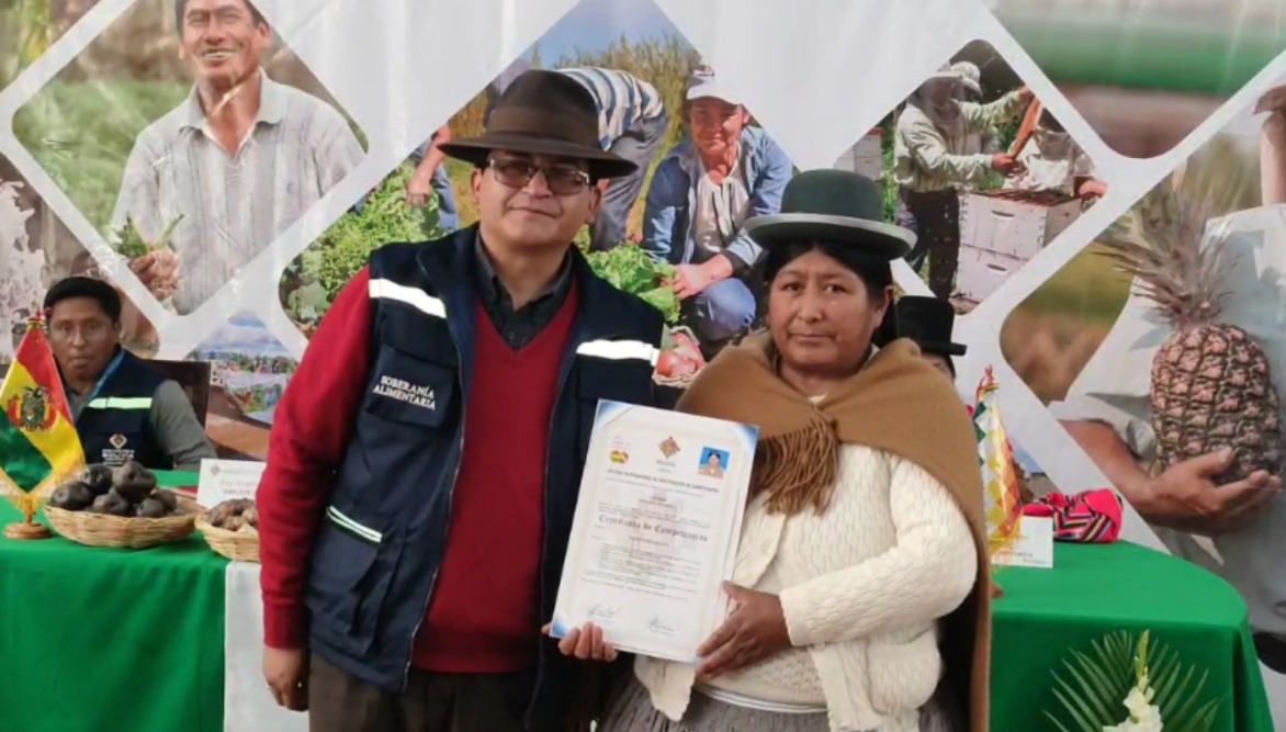 Más de 7.100 productores de papa de Bolivia reciben certificación oficial que avala su producción