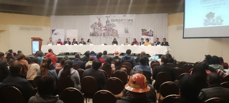 Investigación revela el doble rol del cooperativismo en Bolivia: entre el desarrollo social y los desafíos ambientales