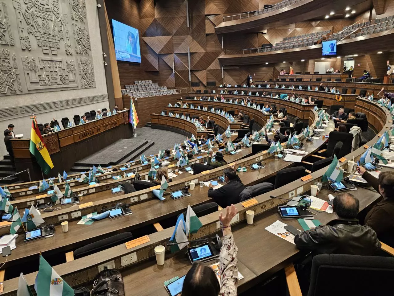 Diputada del MAS responsabiliza a opositores por trabas en aprobación de créditos internacionales