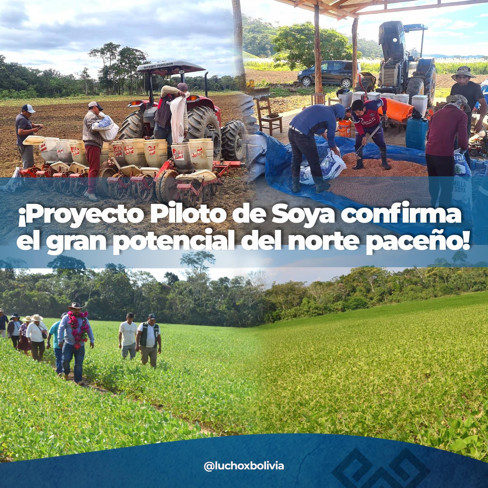 Arce: Proyecto Piloto de Soya en Ixiamas confirma potencial productivo del norte paceño y proyecta 2 toneladas por hectárea