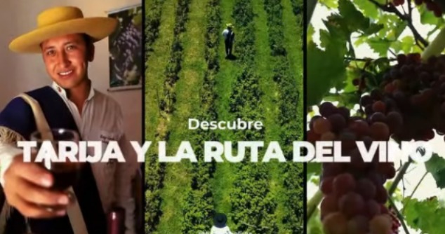 Presidente Arce invita descubrir la magia de Tarija, la capital del vino boliviano