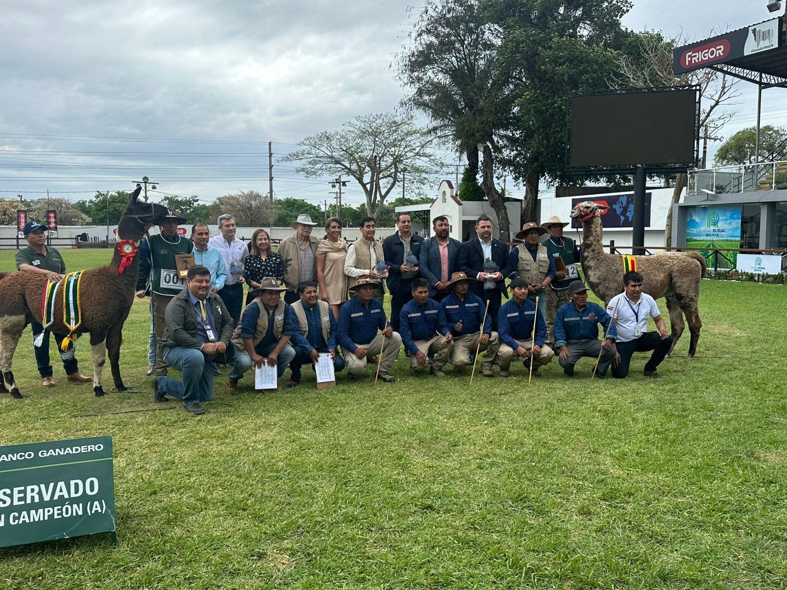 La Expocruz 2025 promueve la ganadería no tradicional con el primer juzgamiento de camélidos