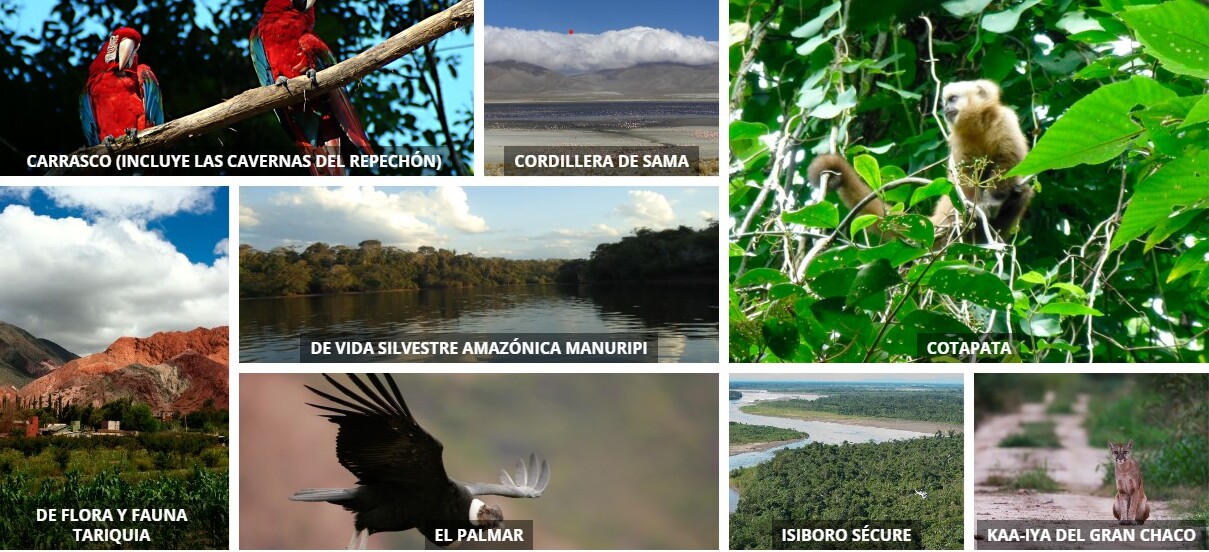 Viceministerio convoca a conversatorio universitario sobre turismo sostenible