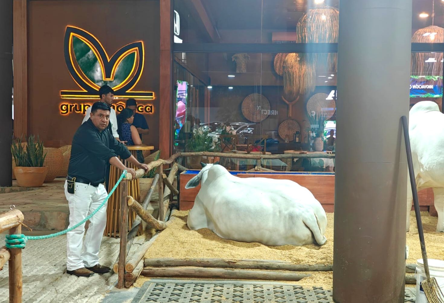 Santa Cruz concentra el 45% del hato bovino nacional