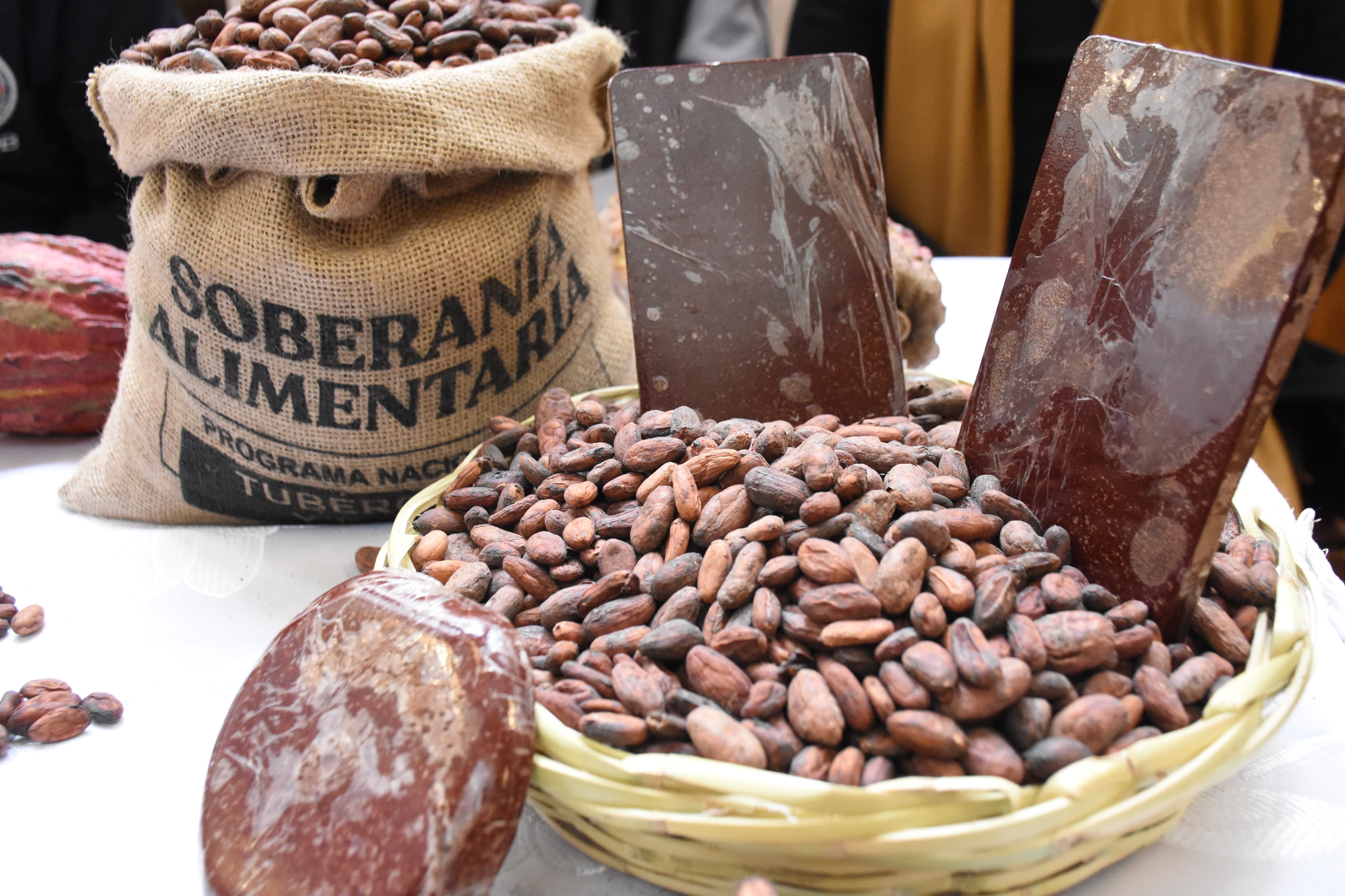 Exportaciones de cacao y café de Bolivia suben a $us 10 y 15 millones en cinco años