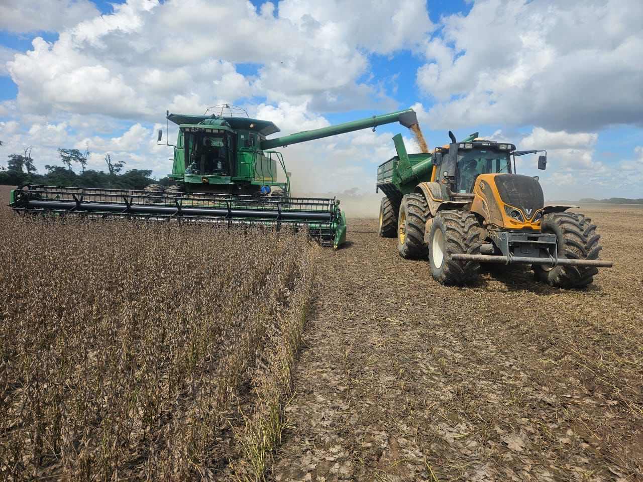 Gobierno autoriza exportación de 880 mil toneladas de soya para exportación