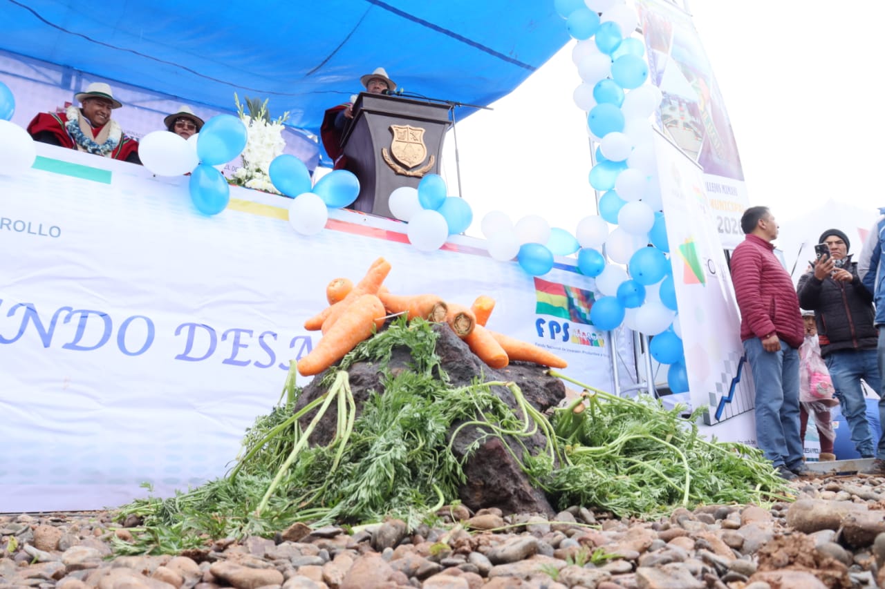 Gobierno construirá en Soracachi planta procesadora e industrializadora de zanahoria con Bs 12,4 millones de inversión