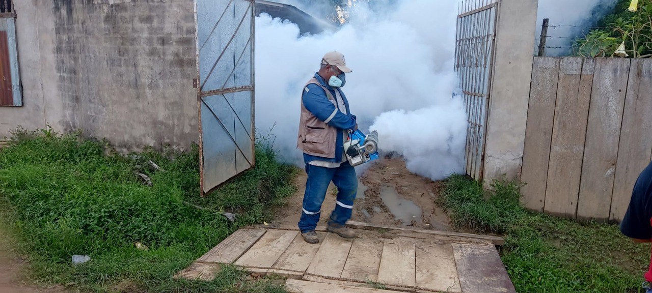 Dengue: Casos acumulados ascienden a 8.909 en todo el país