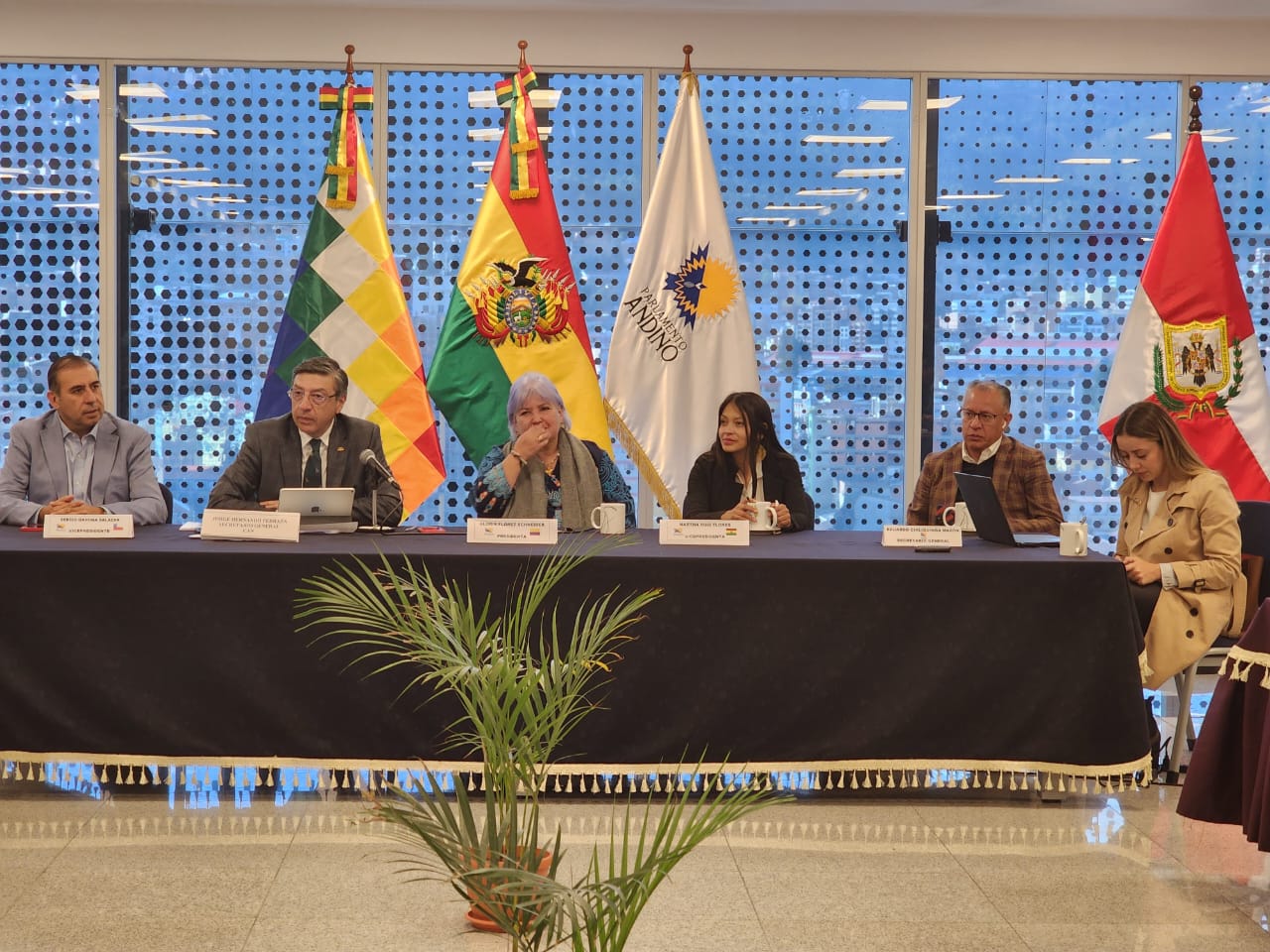 Parlamento Andino exhorta a Perú a fortalecer el diálogo para solucionar crisis