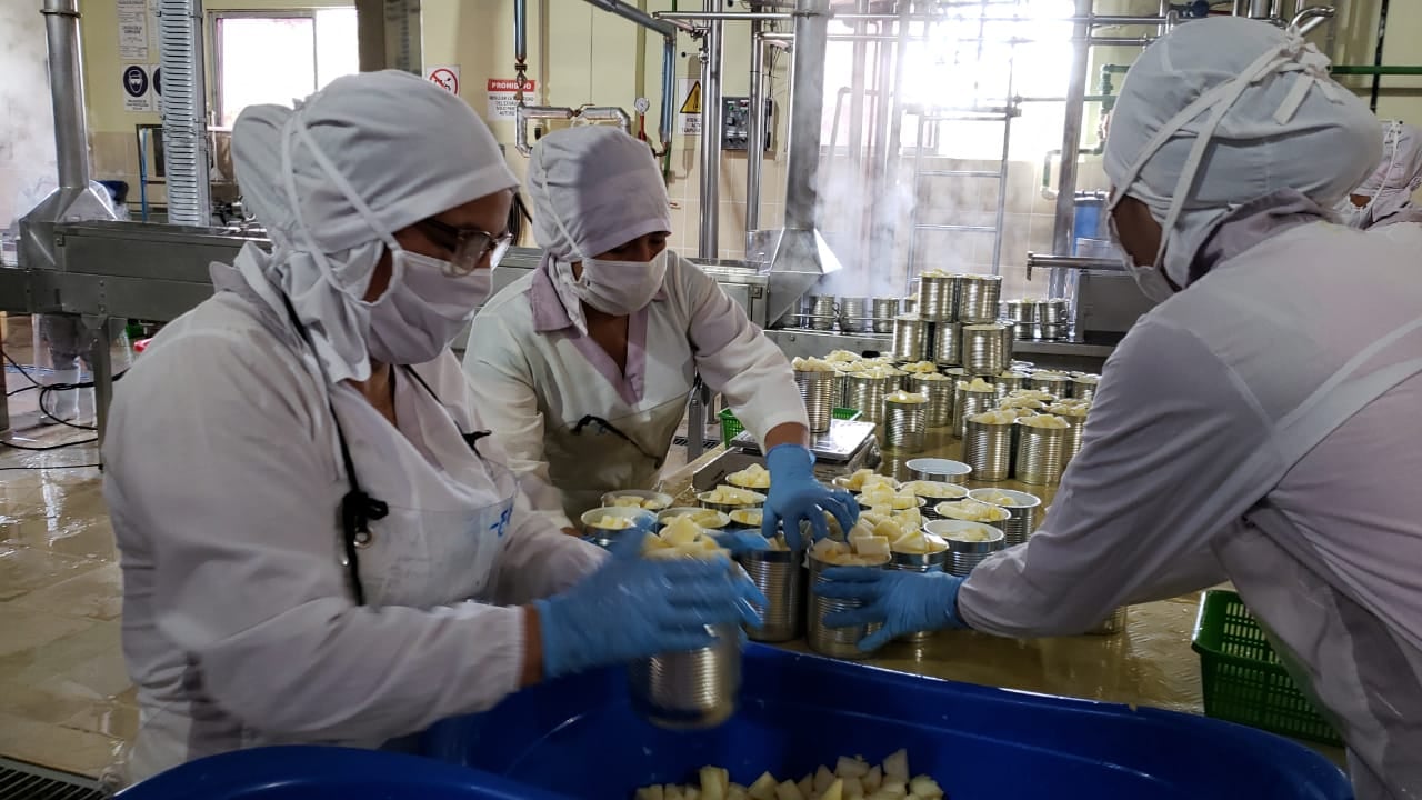 Más de 600 familias son beneficiadas con la reactivación de Insumos Bolivia en el trópico de Cochabamba