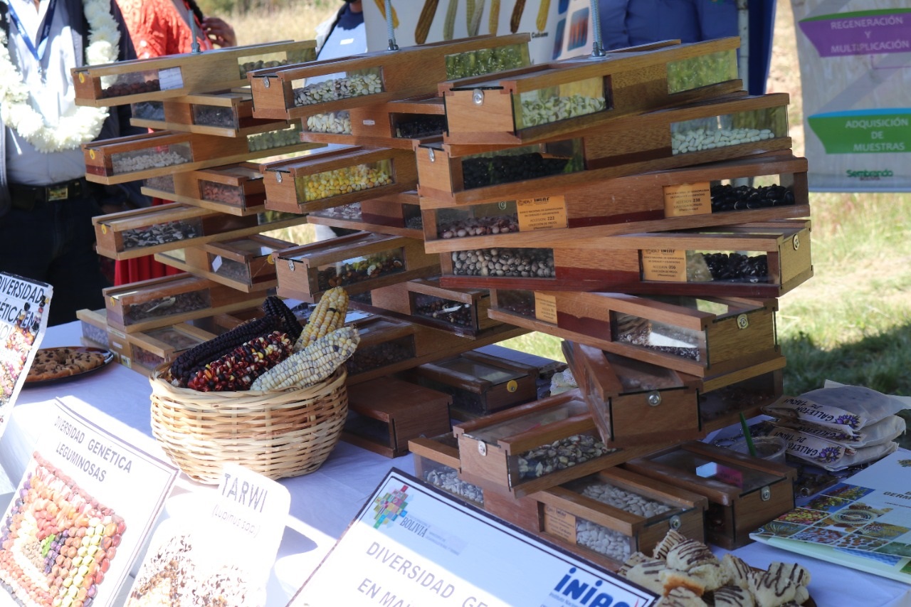 Gobierno resguarda 19.866 variedades de recursos genéticos agrícolas en el Banco de Germoplasma