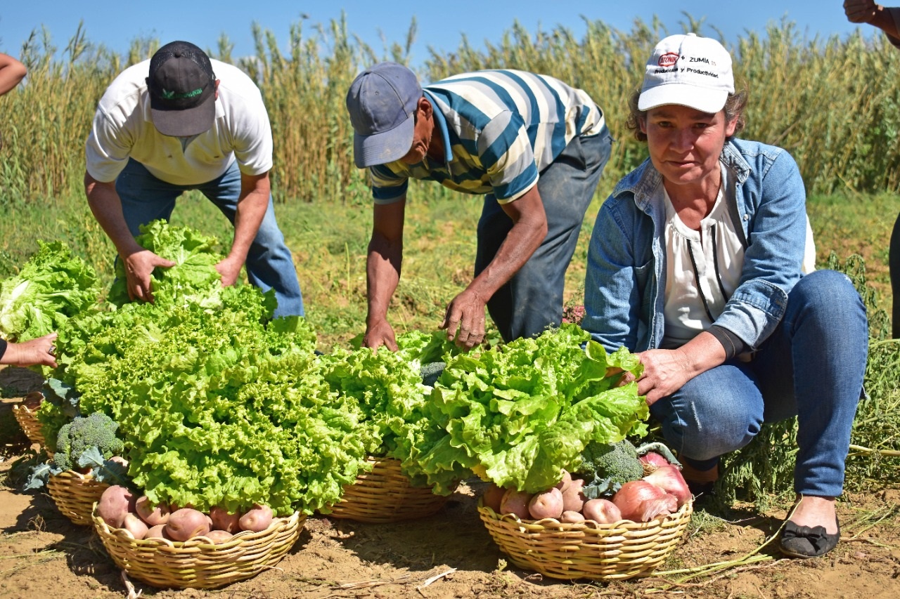 Empresa gubernamental agropecuaria cubrirá el déficit en producción de cultivos agrícolas