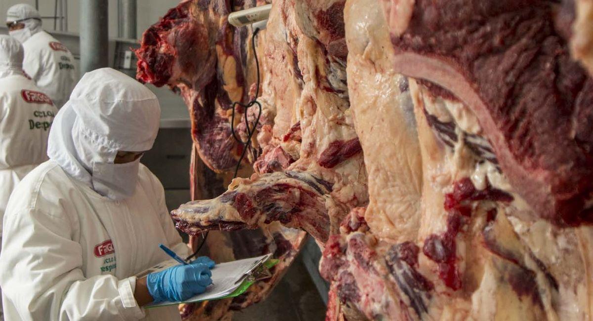 Bolivia generó $us 267 millones por la exportación de 53.530 toneladas de carne bovina desde 2016