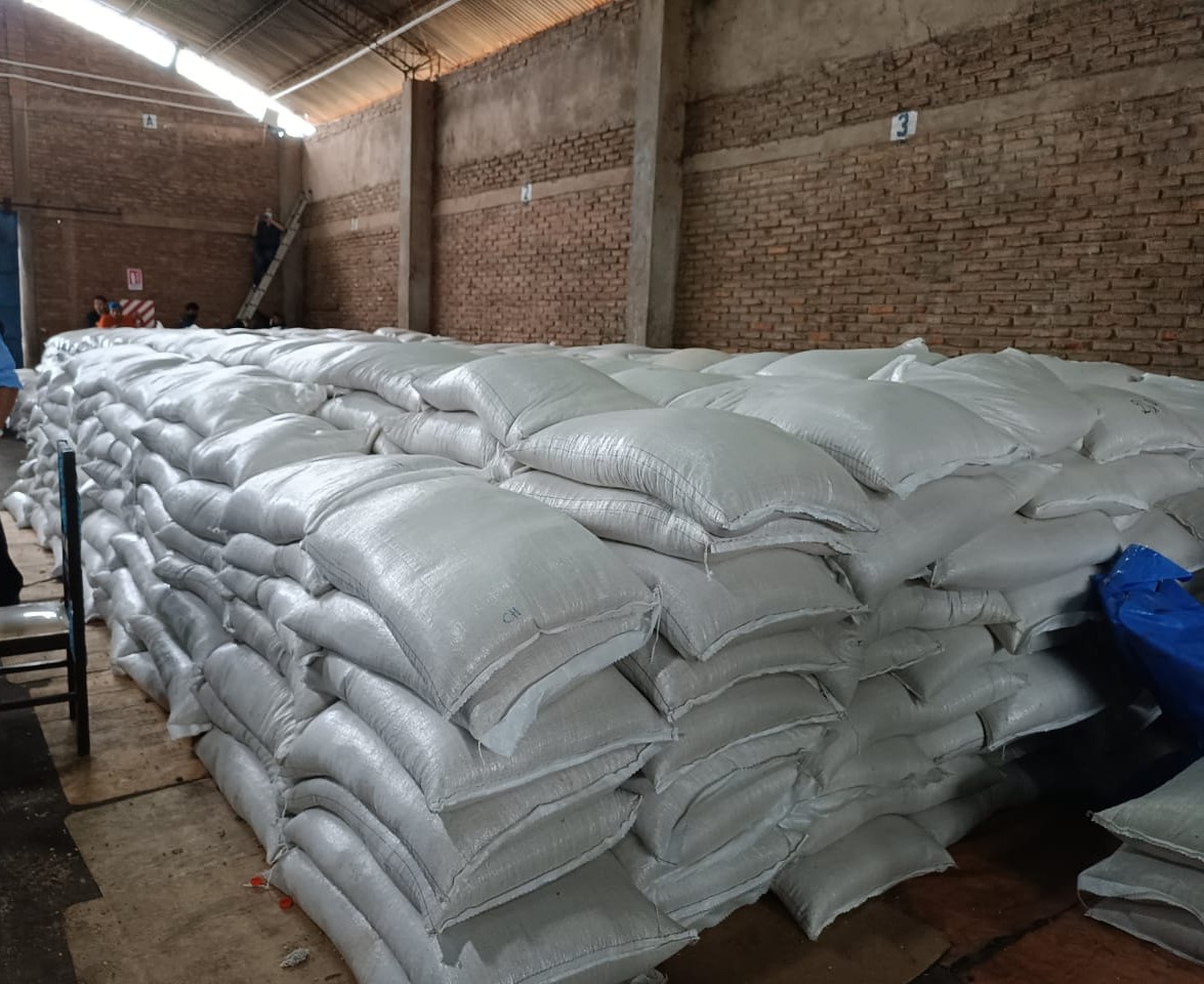 Comisan más de 620 toneladas de soya y maíz transgénicos valuadas en Bs 6 millones en Santa Cruz