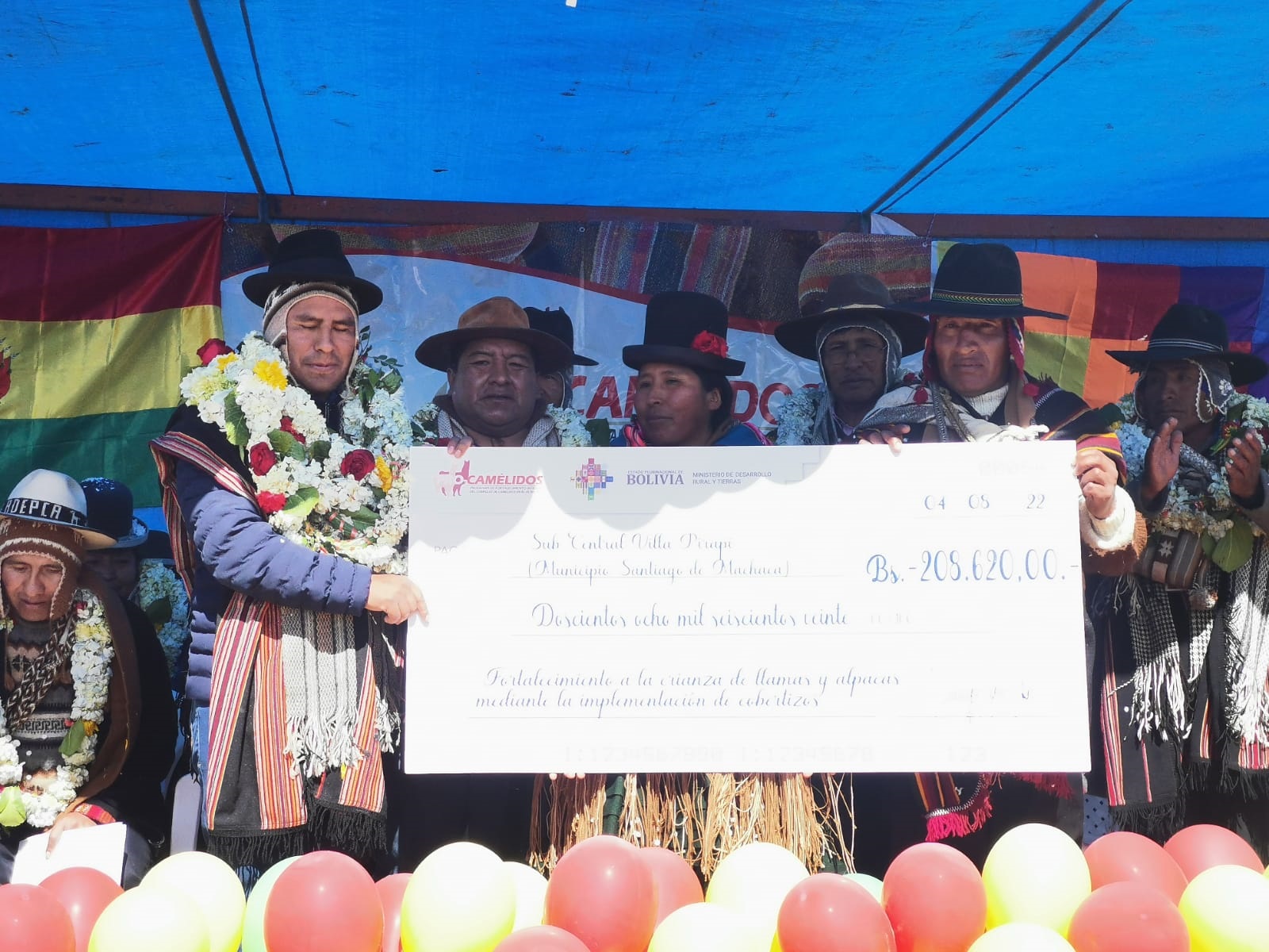Destinan más de Bs 6 millones para incentivar la ganadería de camélidos en La Paz