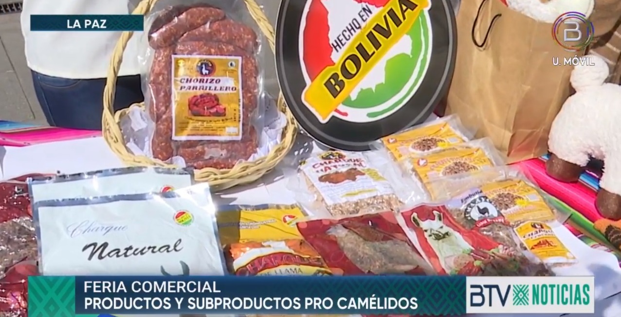 Del 9 al 11 se realiza en El Alto la feria de productos derivados de camélidos