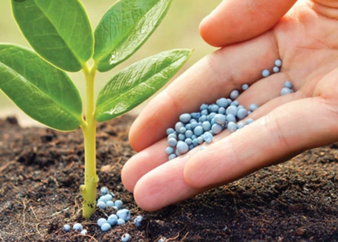 NPK, el agrofertilizante muy demandado por productores de todo el mundo