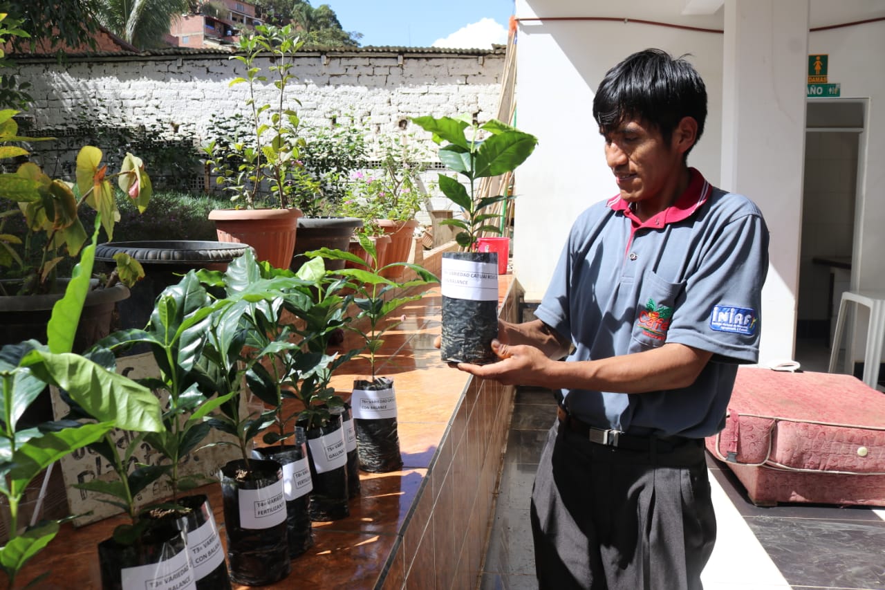 Gobierno transfiere tecnología para incrementar la producción de café