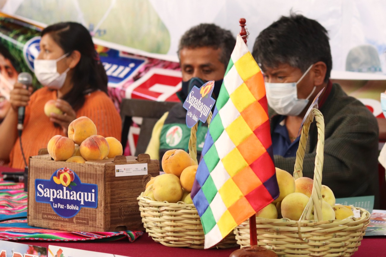 La Paz acogerá la Feria del Durazno del municipio de Sapahaqui